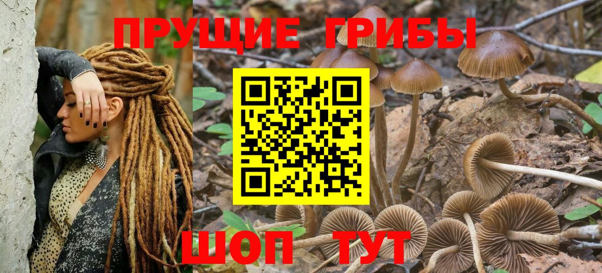 Павловский Посад  Галлюциногенные грибы Psilocybine cubensis  Вход с VPN  Псилоцибиновые грибы ЛСД 