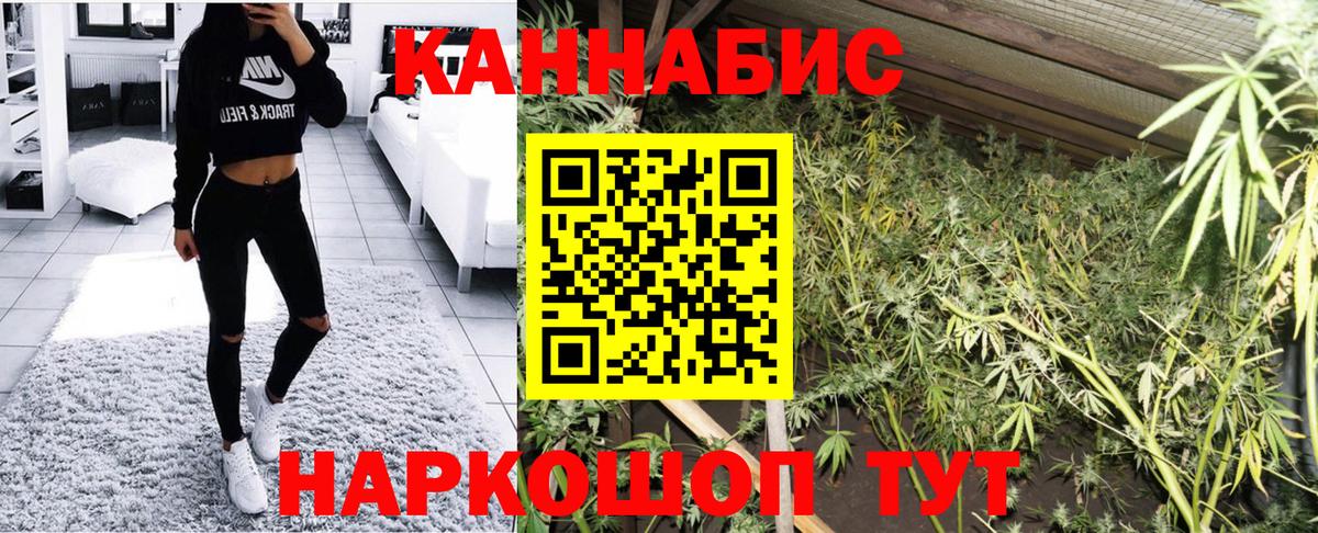 Марихуана сатива  Канабис тримм  Вход с VPN  Конопля White Widow  Павловский Посад 